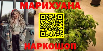 крисы Будённовск