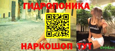 крисы Будённовск