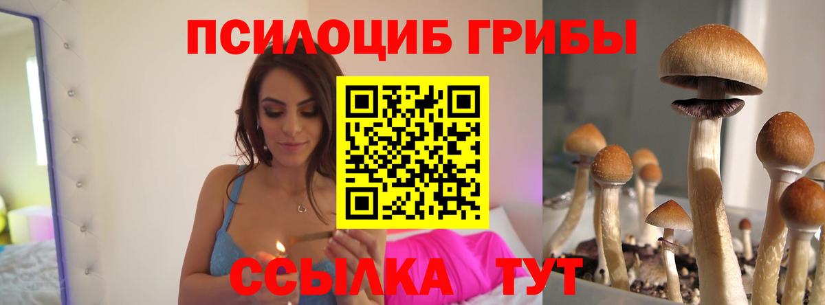 Псилоцибиновые грибы ЛСД  Галлюциногенные грибы Psilocybine cubensis  Тайшет  Вход с VPN 